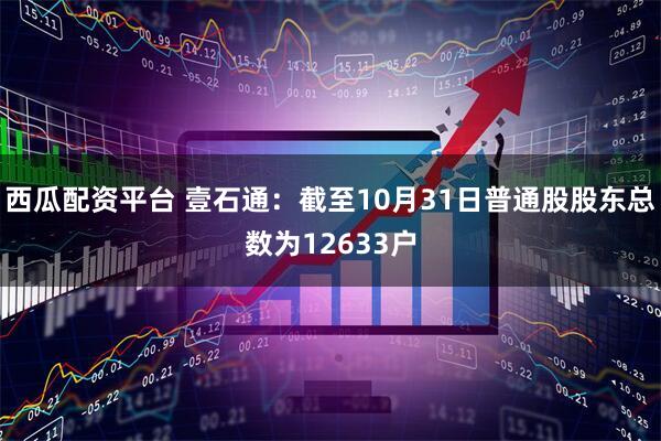 西瓜配资平台 壹石通：截至10月31日普通股股东总数为12633户
