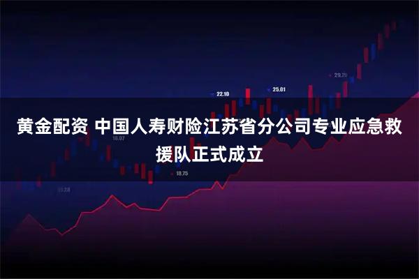黄金配资 中国人寿财险江苏省分公司专业应急救援队正式成立