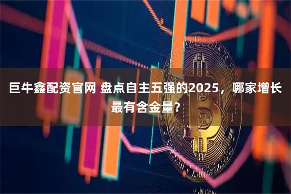 巨牛鑫配资官网 盘点自主五强的2025，哪家增长最有含金量？