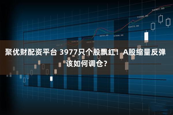 聚优财配资平台 3977只个股飘红！A股缩量反弹 该如何调仓？