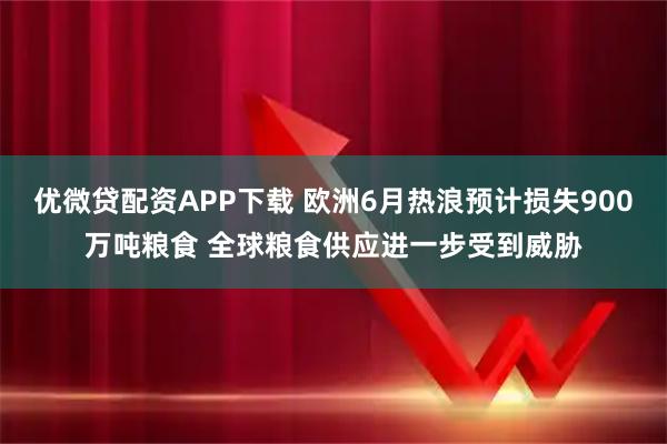 优微贷配资APP下载 欧洲6月热浪预计损失900万吨粮食 全球粮食供应进一步受到威胁